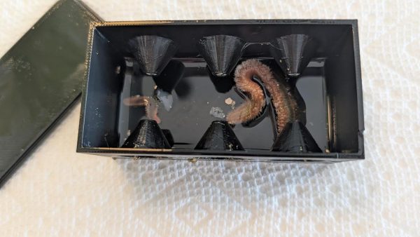 The Coral Ranch - Bristleworm Trap - Image 3
